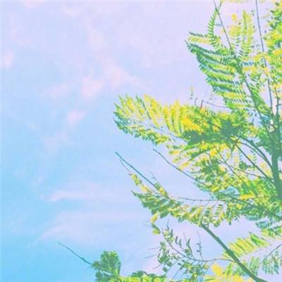 油价上涨，布伦特原油回升至100美元上方，伊朗战争降级希望消退